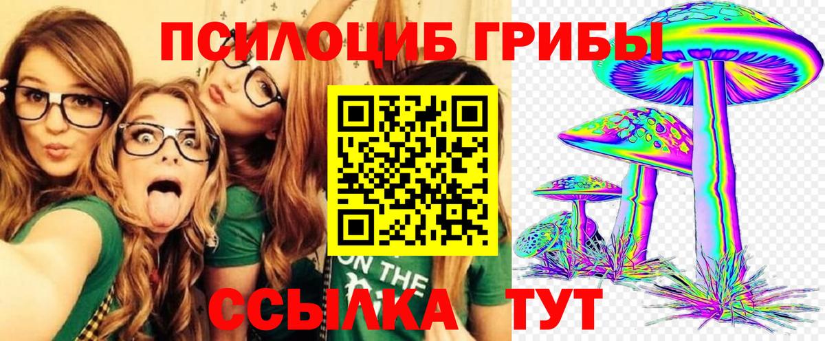 Псилоцибиновые грибы Cubensis  Вход с VPN  Унеча 